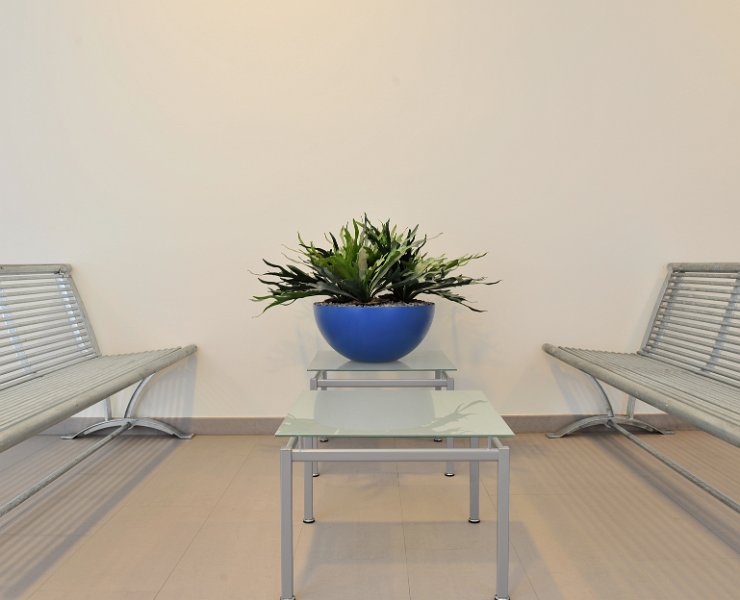 blauwe casacara met hertshoorn hal (1 van 1)